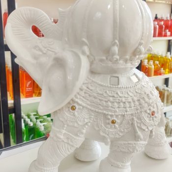 Elefante gigante