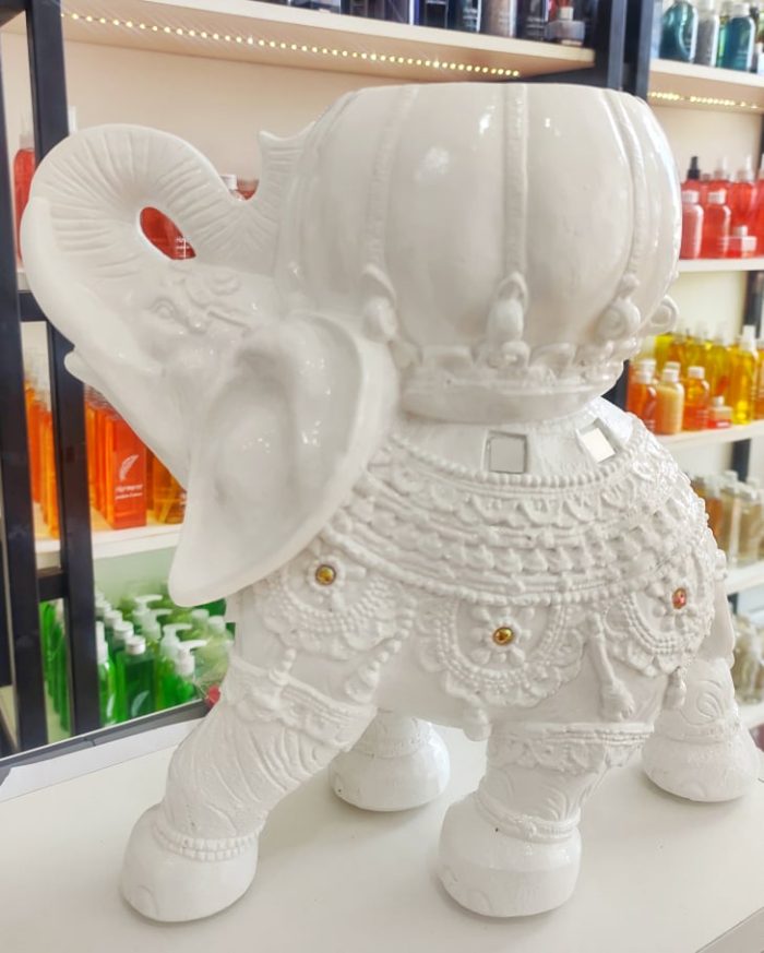 Elefante gigante