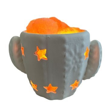 Lámpara de sal Cactus