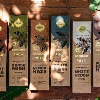10 cajas de Sahumerios de Cannabis Sagrada Madre