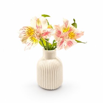 Florero París
